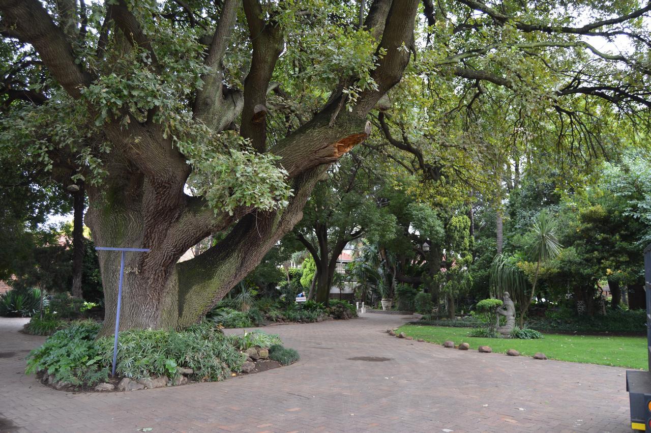 Airport Gardens Boutique Hotel Boksburg Zewnętrze zdjęcie
